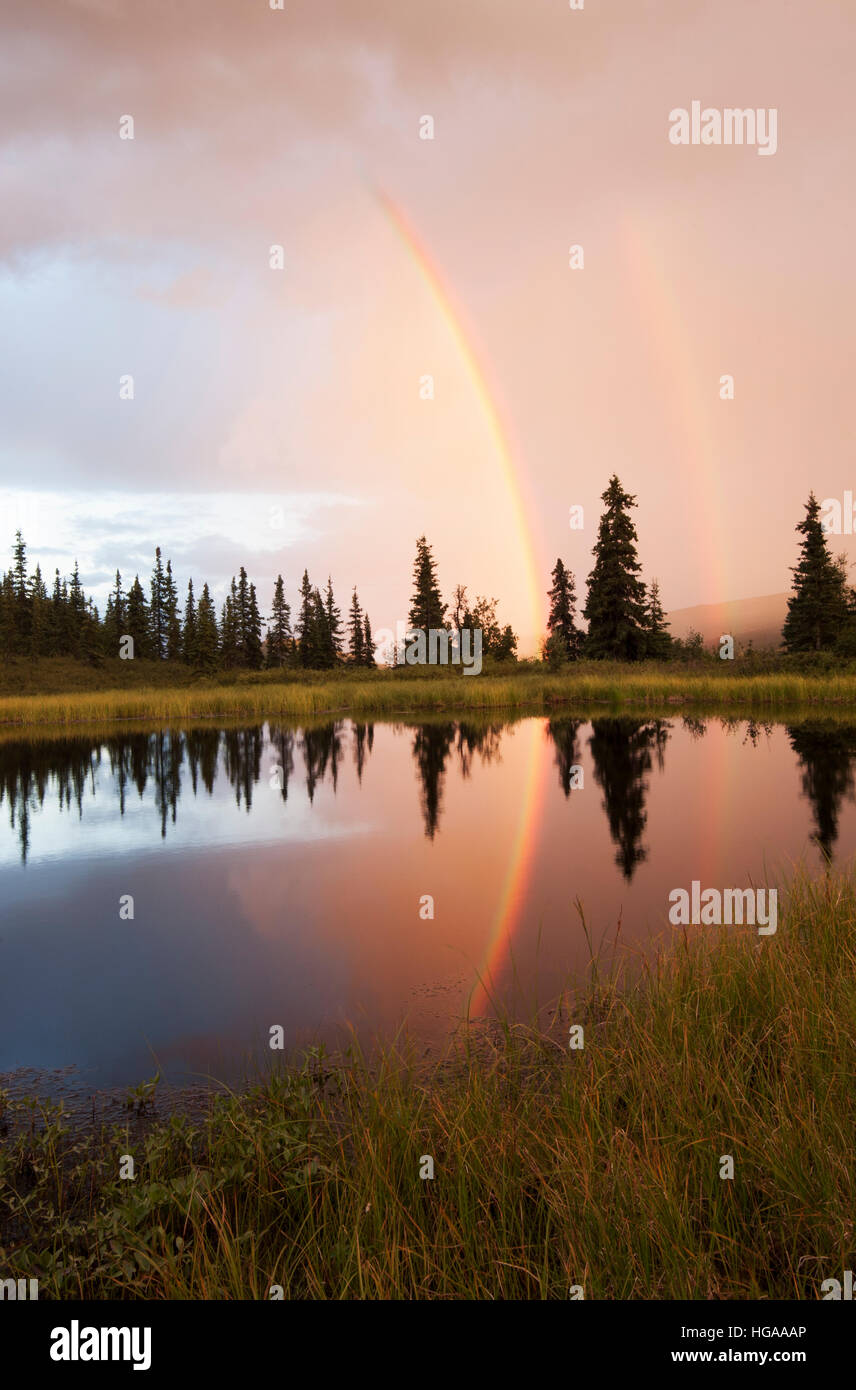 Summer rainbow reflected in summer tundra pond, Alaska Stock Photo