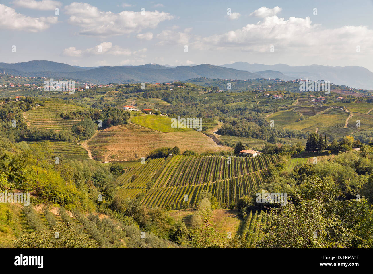 Rural mediterranean landscape with village, vineyards and mountains Stock Photo