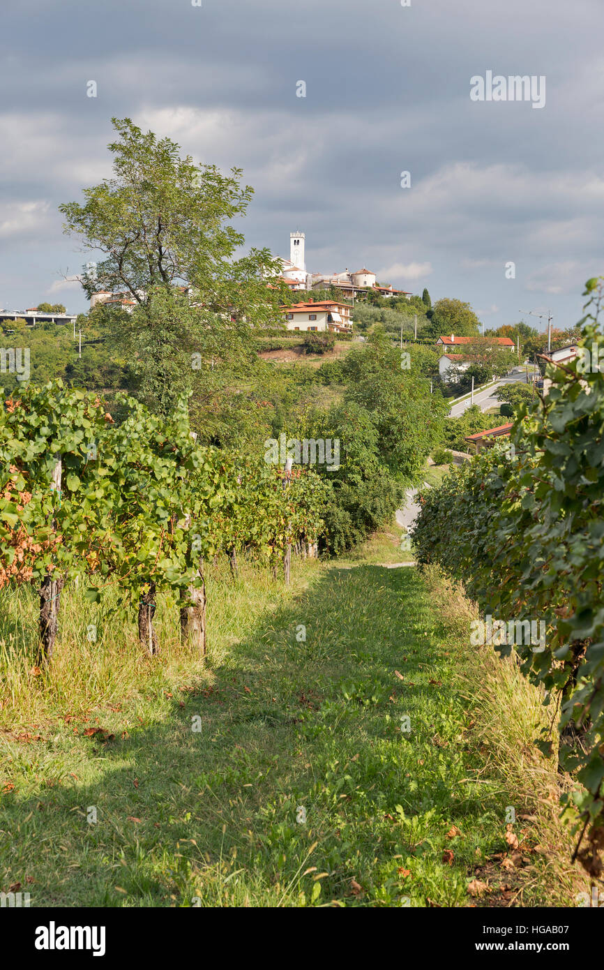 Rural mediterranean landscape with Smartno medieval village and ...