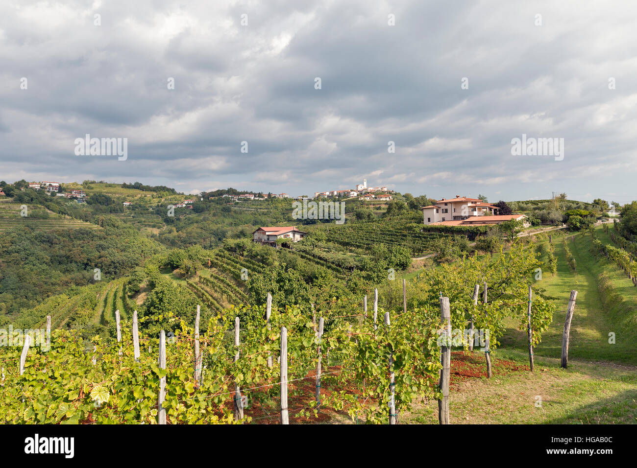 Rural Mediterranean Landscape With Smartno Medieval Village And rural-mediterranean-landscape-with-smartno-medieval-village-and