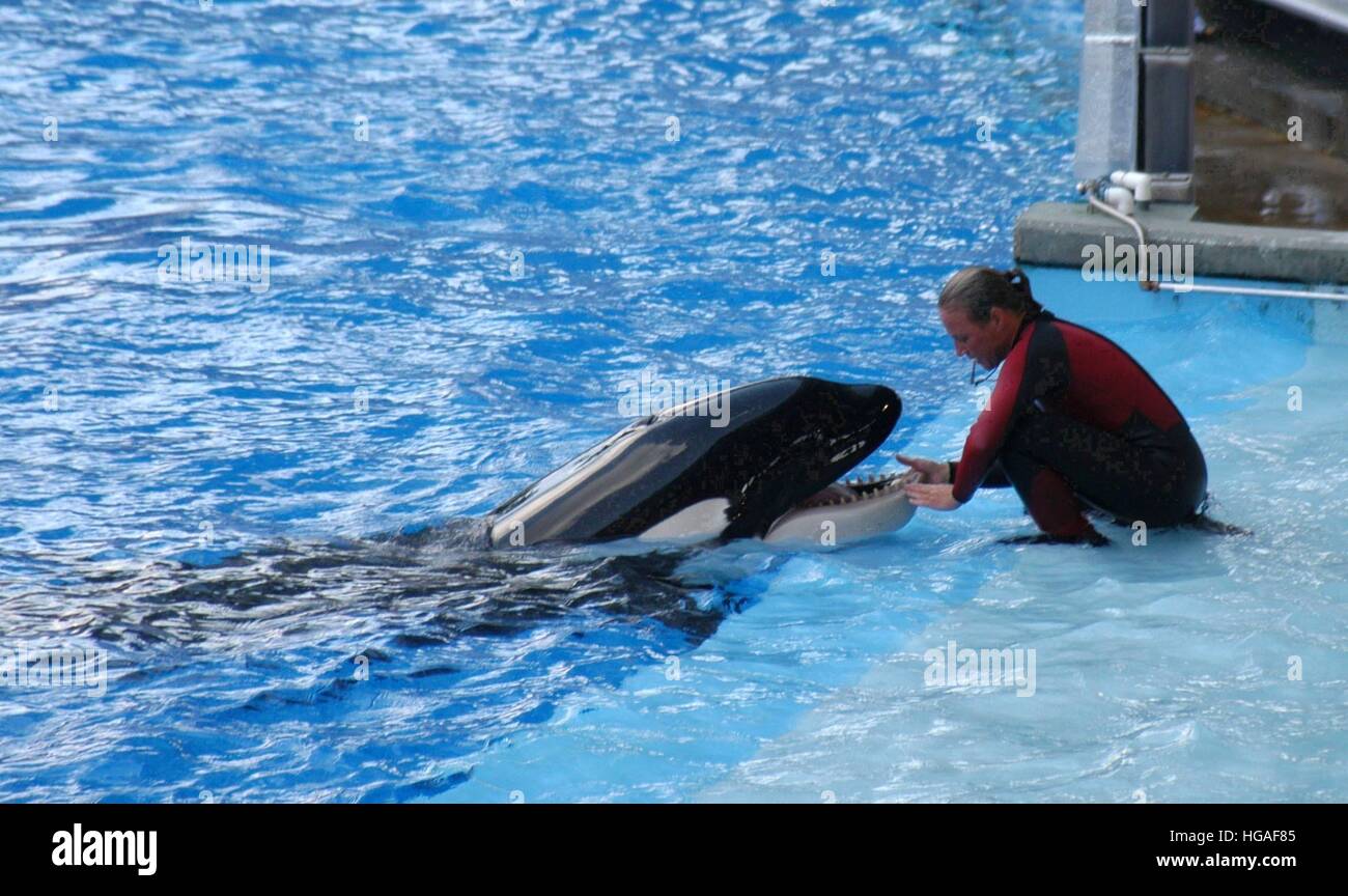 Tilikum blackfish hires stock photography and images Alamy