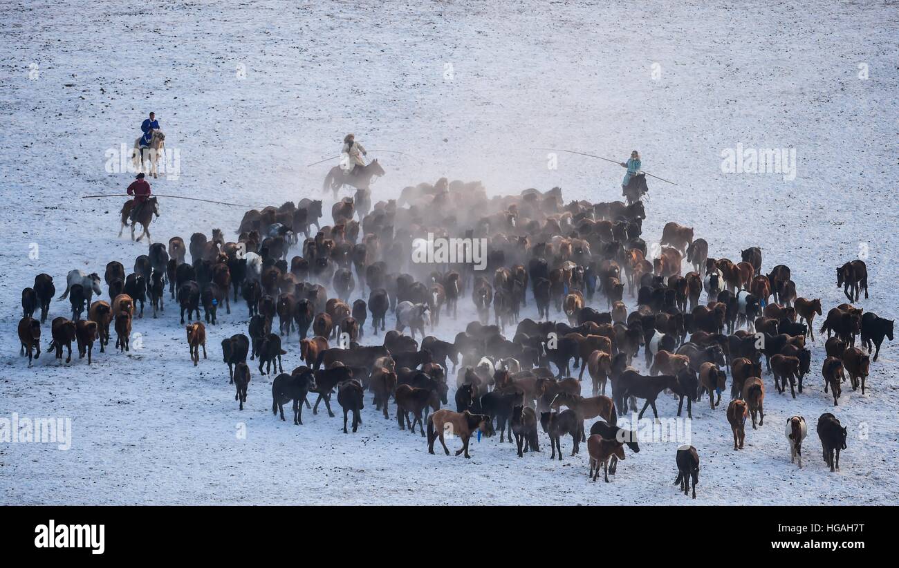 Hohhot, China's Inner Mongolia Autonomous Region. 6th Jan, 2017. Herdsmen lasso horses in Xilinhot, north China's Inner Mongolia Autonomous Region, Jan. 6, 2017. © Lian Zhen/Xinhua/Alamy Live News Stock Photo