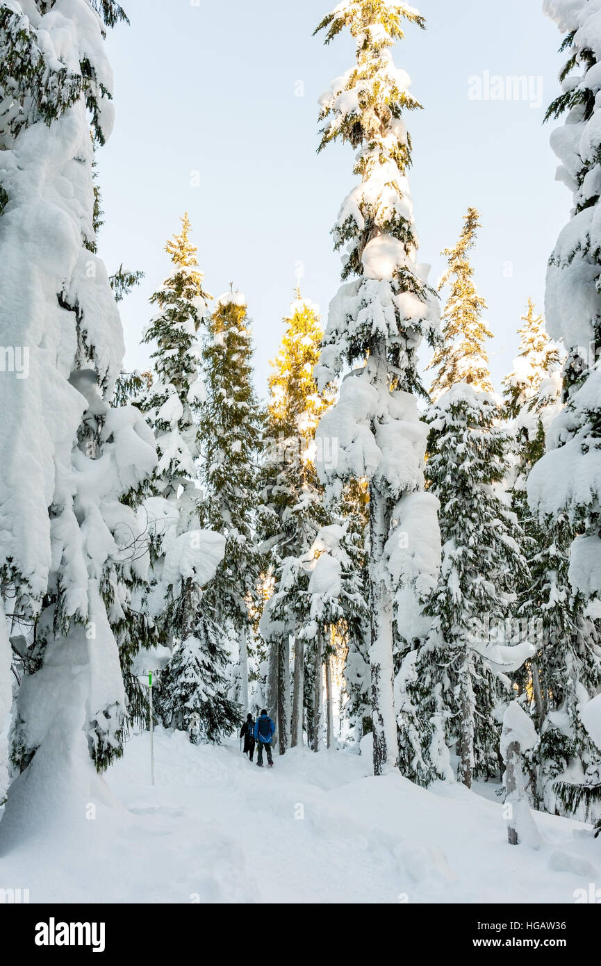 Snowshoe trails hires stock photography and images Alamy