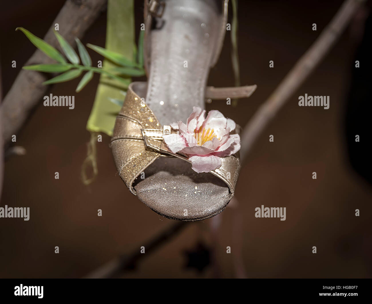 Shoe flower hires stock photography and images Alamy