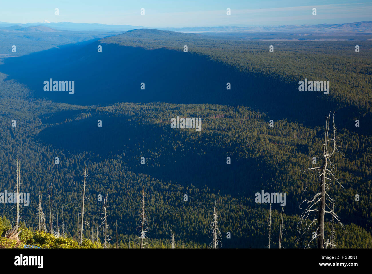 Black forest ridge hi-res stock photography and images - Alamy