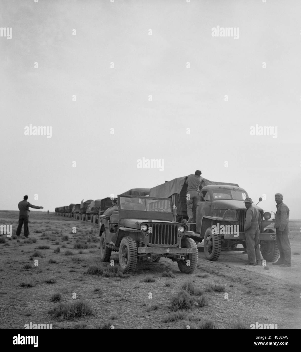 A U.S. Army truck convoy making a rest stop in the desert, 1943. Stock Photo