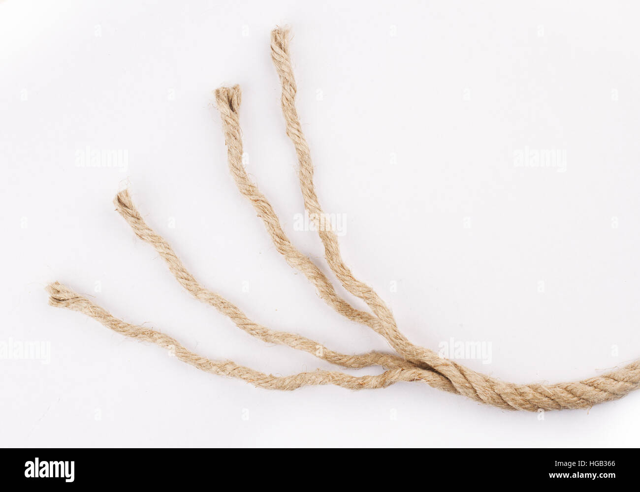 detail of unraveled rope isolated on white background Stock Photo Alamy