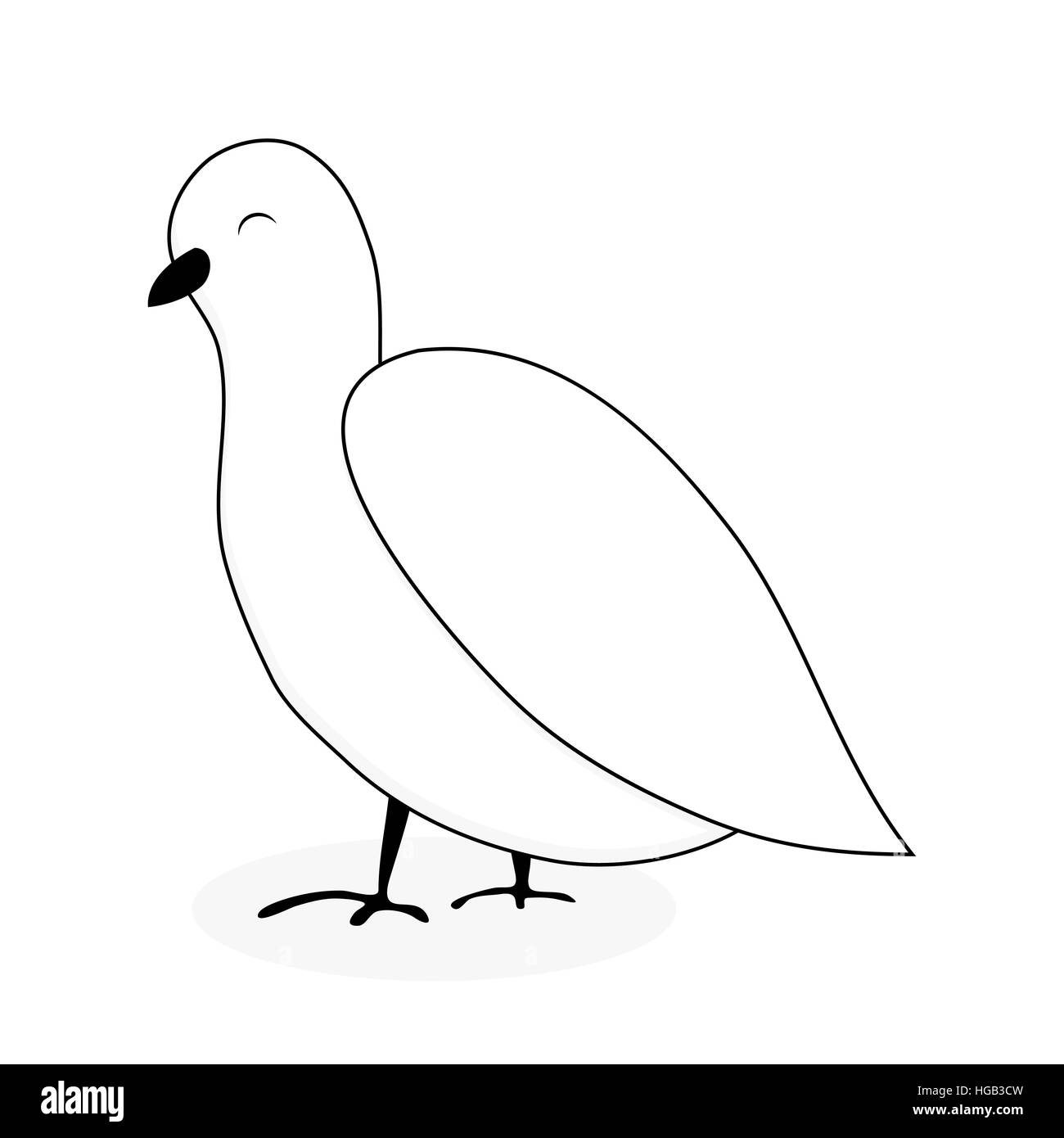 White dove animal vector. Dove and peace, white bird isolated, pigeon cartoon illustration Stock Photo