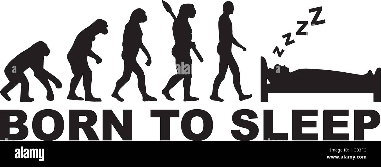 Sleeping evolution born to sleep Stock Vector Image & Art Alamy