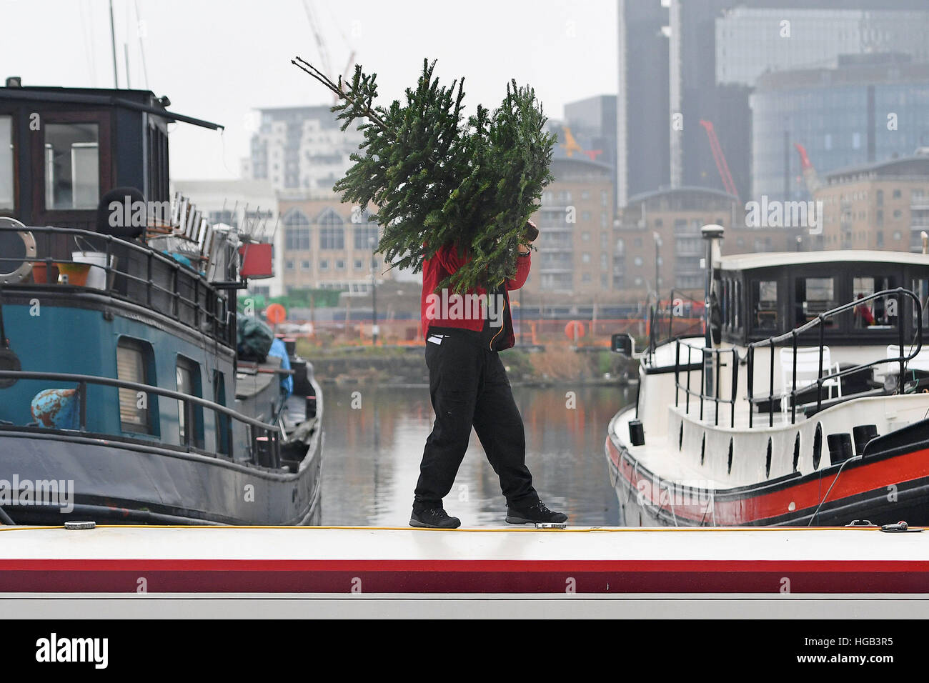 A man carries an old Christmas tree from a boat in Canary Wharf, London, after the Twelfth Night passed. Stock Photo