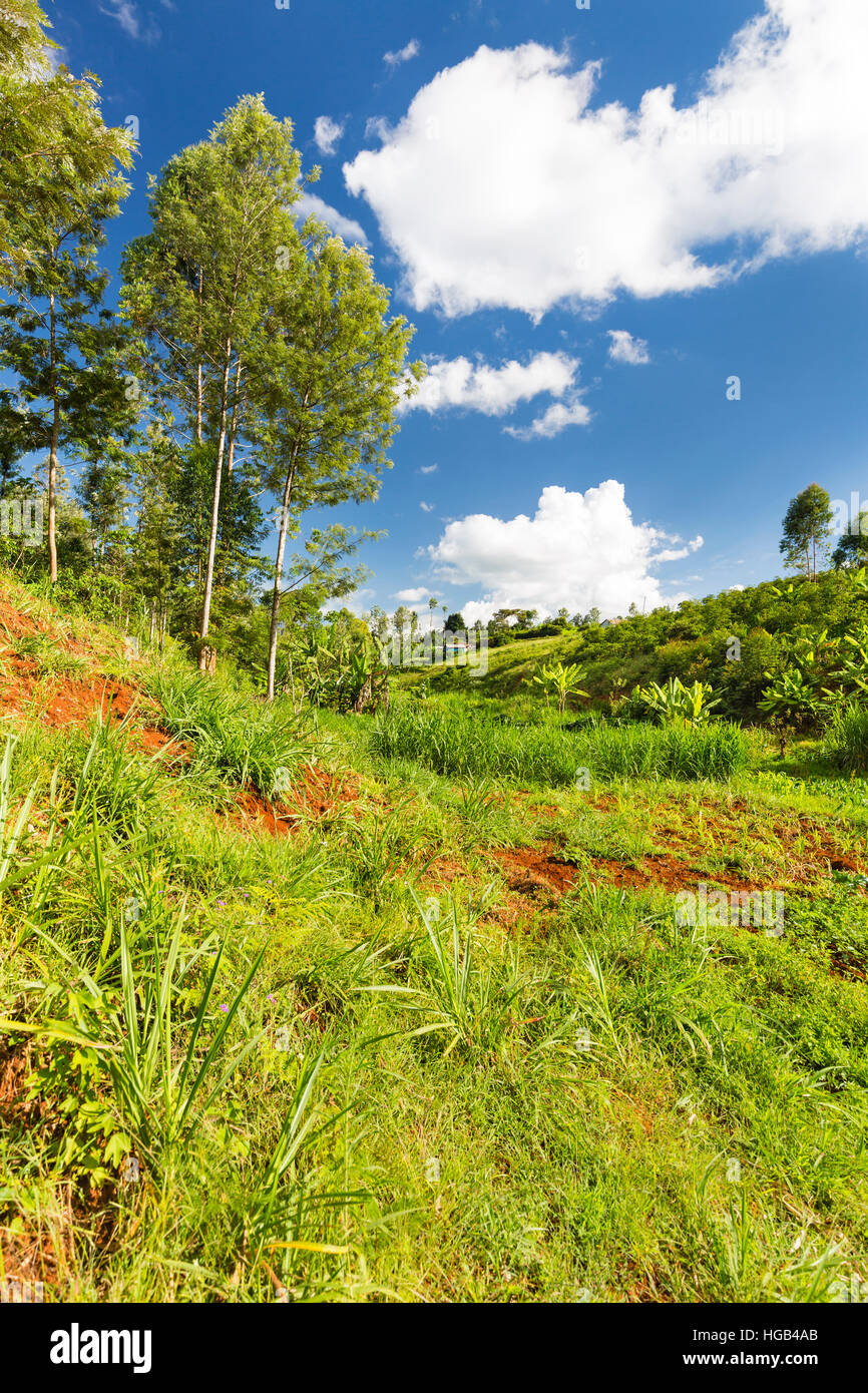 Green landscape in a beautiful valley in the highlands of Kiambu County