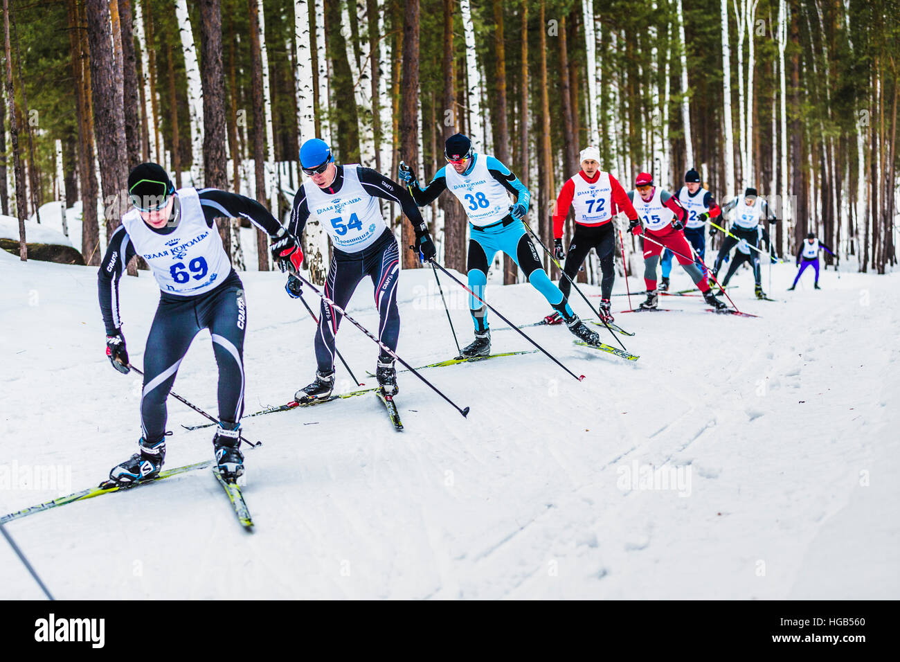 group of skiers athletes men in forest free style uphill during Championship on cross country skiing Stock Photo