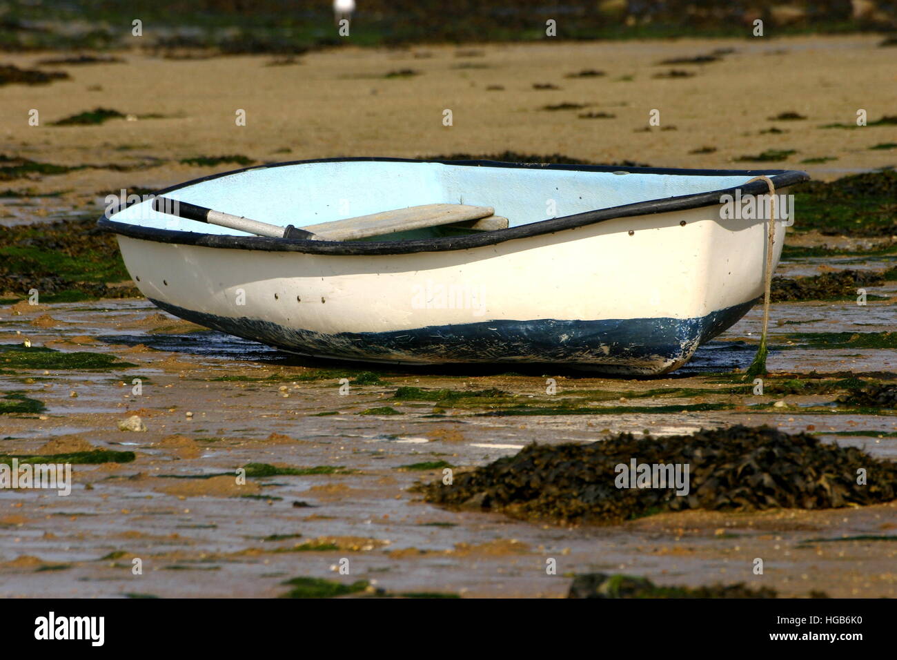 Fishing boat on ground during ebb Stock Photo Alamy