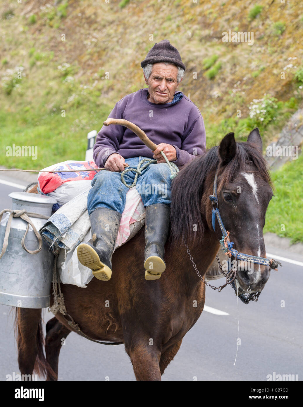 Guy saddles and feeds gal