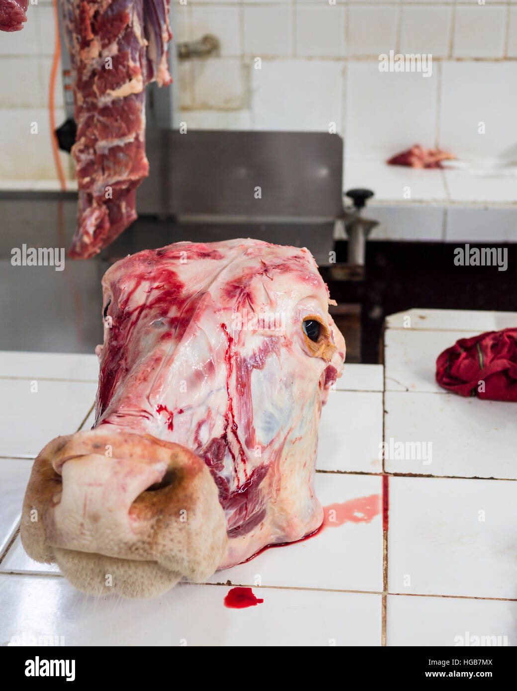 Cow head meat hi-res stock photography and images - Alamy