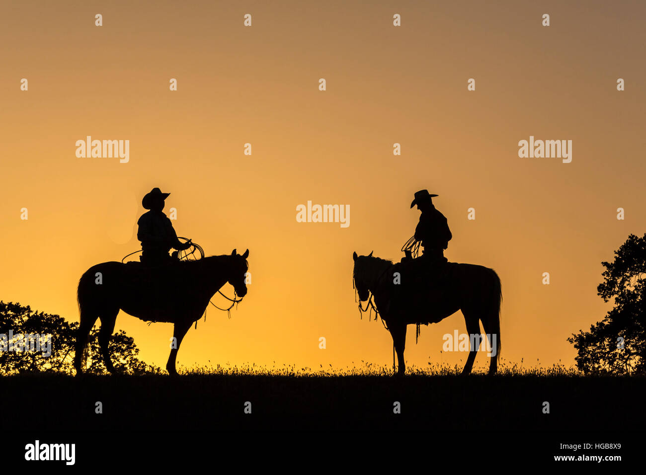 cowboys silhouetted on ridgetop at sunset on ranch Stock Photo - Alamy