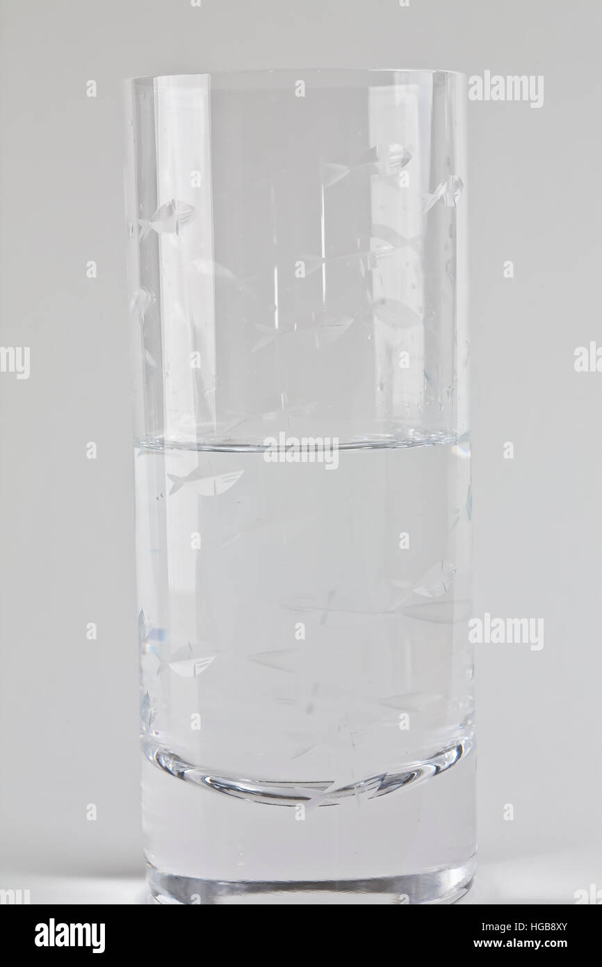 Half-empty/half-full drinking glass with etched fish around top Stock Photo