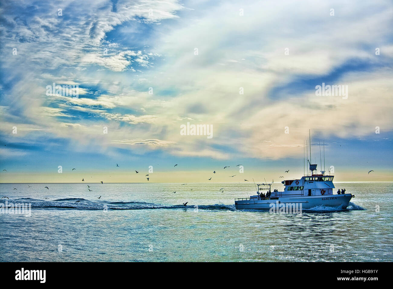 Seabirds following a fishing boat late afternoon Stock Photo