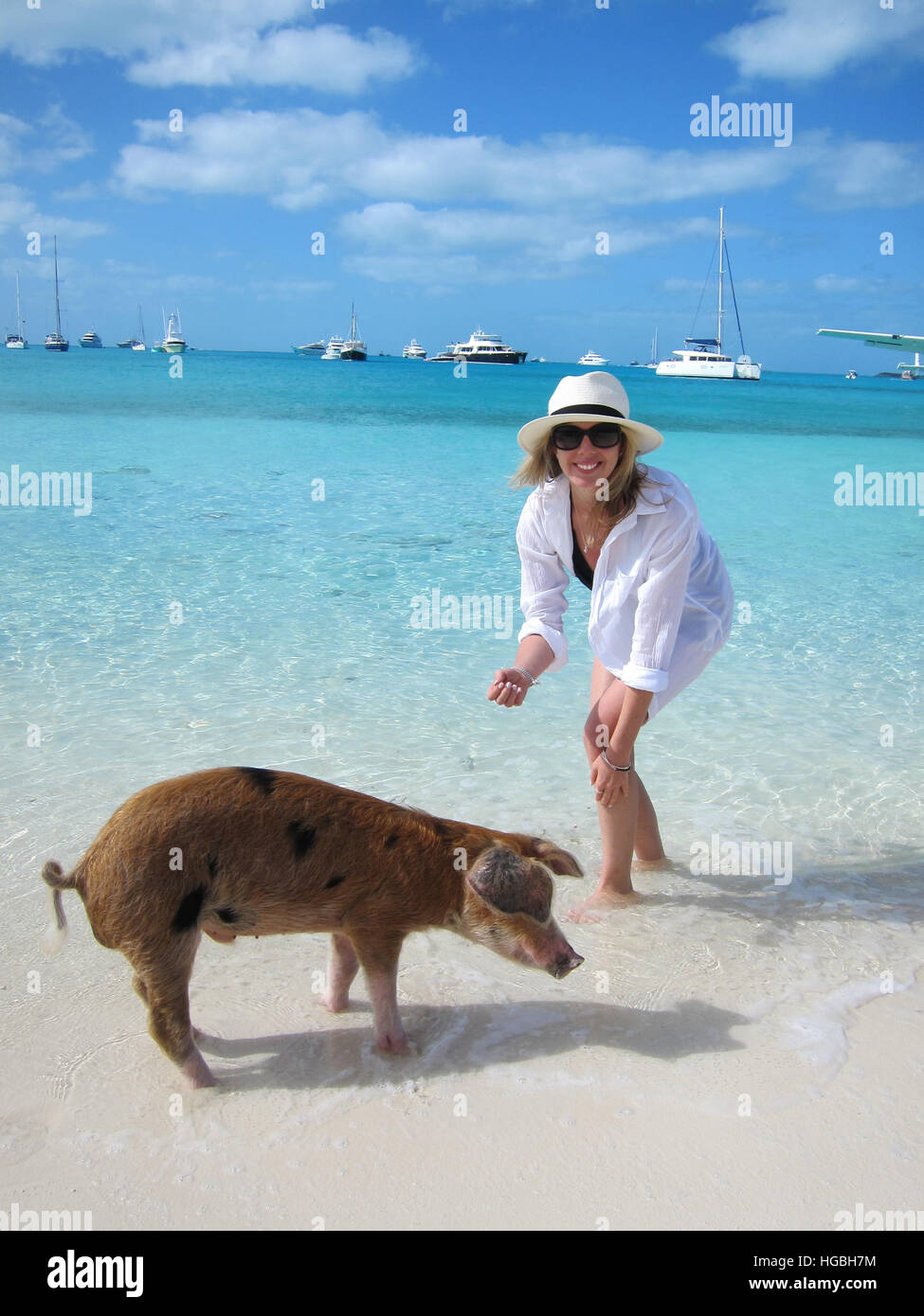Woman wearing a hat on tropical vacation in the Bahamas with the swimming pigs Stock Photo