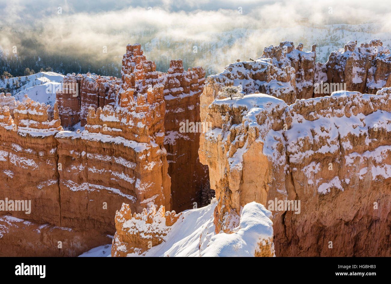 The Wall Street formation of hoodoos covered in snow and silhouetted against the fog taken from Sunset Point in Bryce Canyon National Park, Utah Stock Photo
