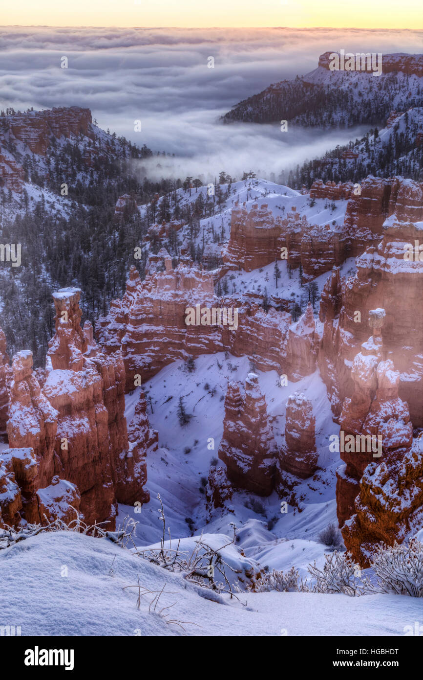 Dawn clouds settled at the bottom of Bryce Canyon with snow shrouded hoodoos  in Bryce Canyon National Park, Utah Stock Photo