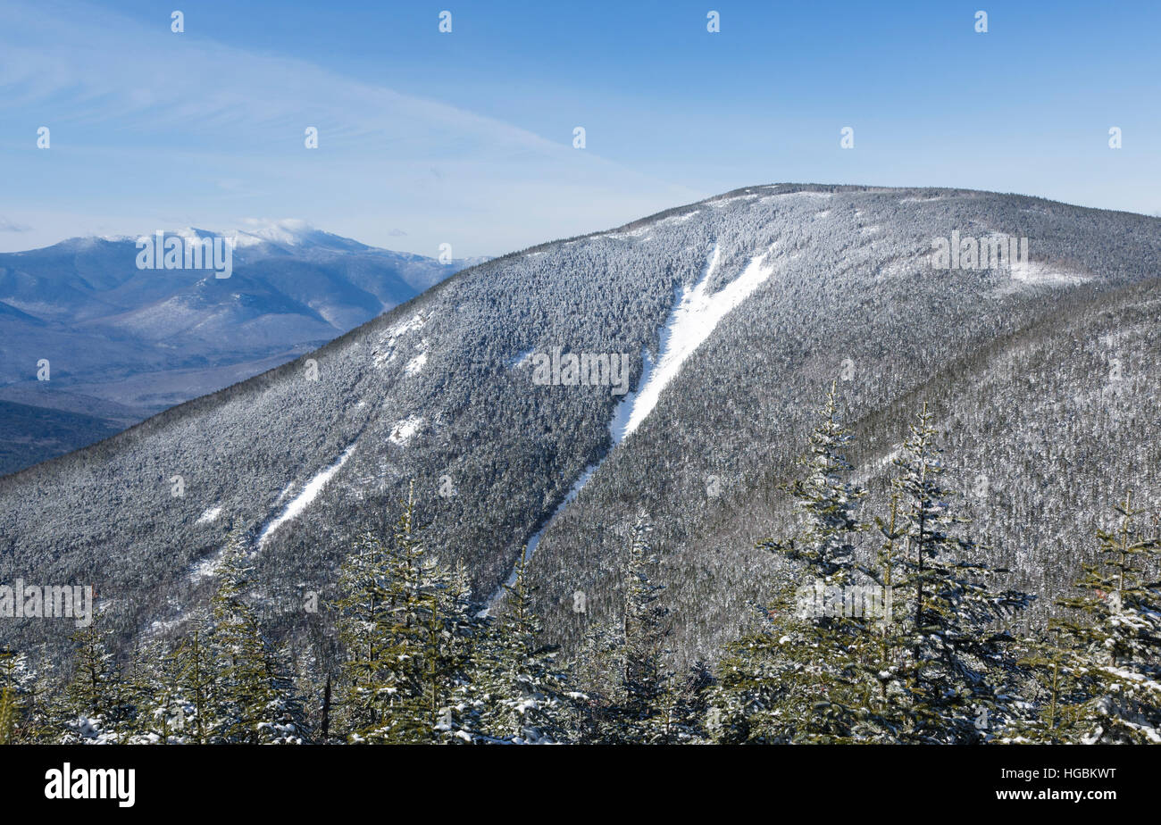 Arrow Slide located on the side of Mount Hancock from Hancock Loop