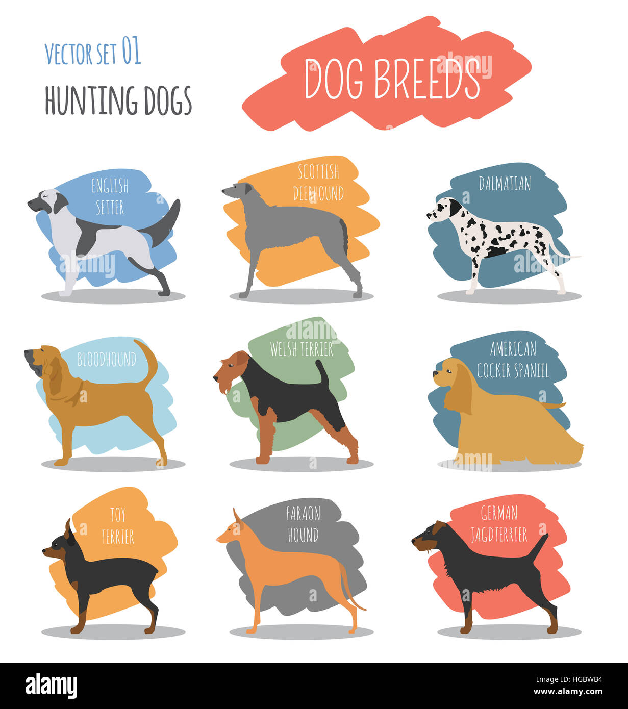 Dog breeds. Hunting dog set icon. Flat style. Vector illustration Stock Photo