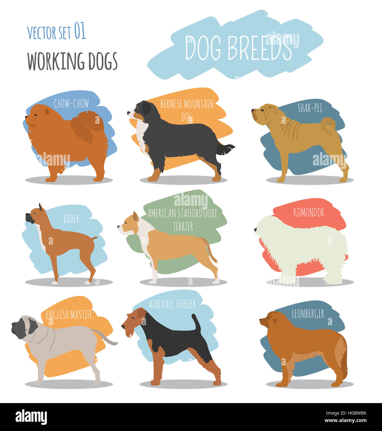 Dog breeds. Working (watching) dog set icon. Flat style. Vector illustration Stock Photo