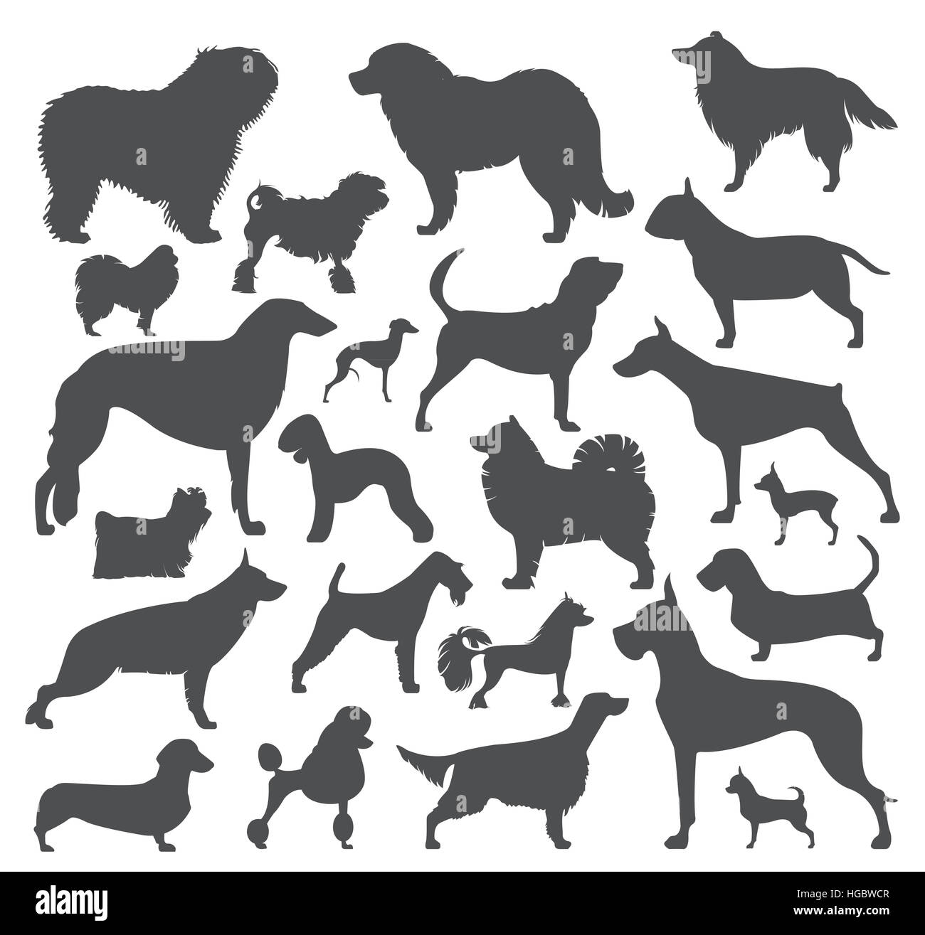 Dog icon set. Heatlh care, vet, nutrition, exhibition. Vector illustration Stock Photo