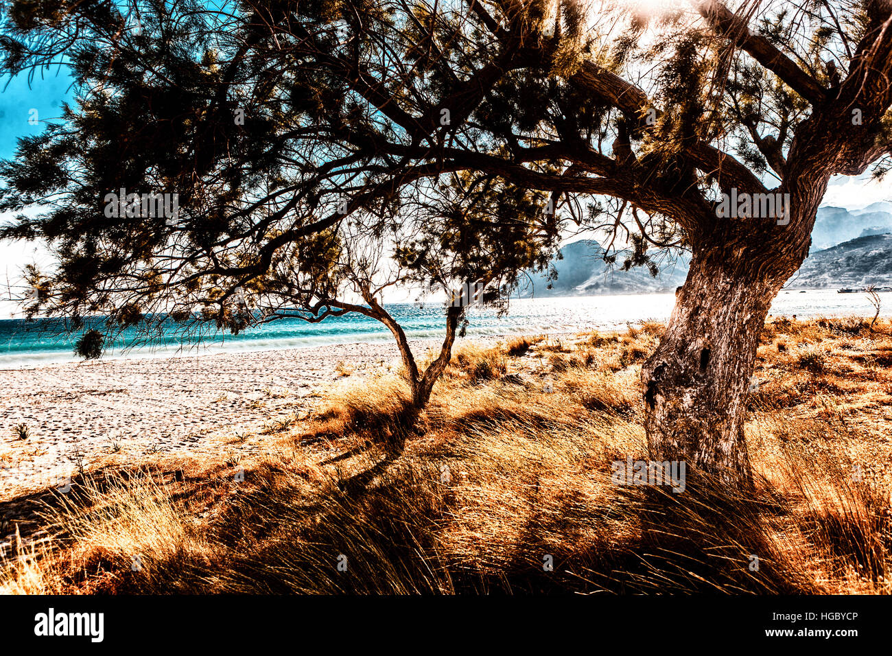 Crete Beach with tamarisk tree in sunset shine, Plakias South Crete Greece spectacular view summer beach Summer landscape Stock Photo