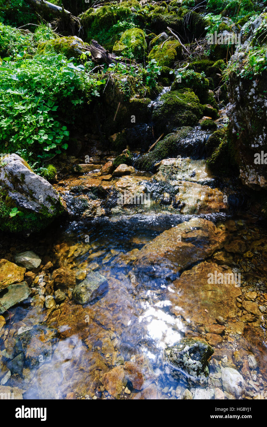 National Park Gesäuse: mountain stream, Gesäuse, Steiermark, Styria, Austria Stock Photo