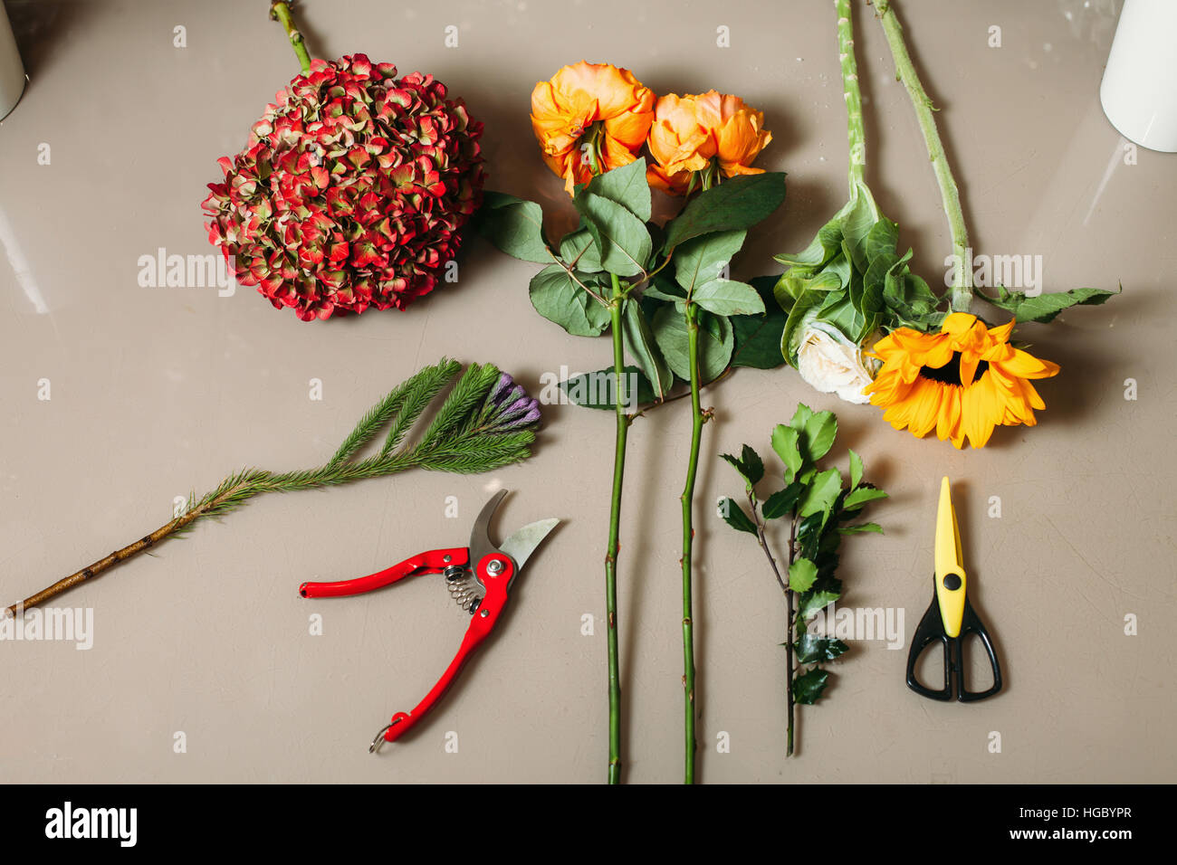 Florist creation tools Stock Photo Alamy