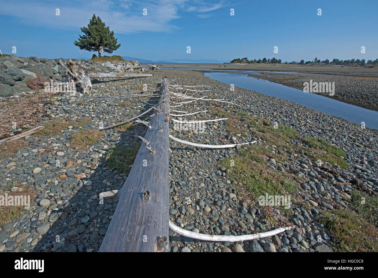 Englishman River Estuary at Surfside, Parksville, Vancouver Island. Canada. SCO 11,387. Stock Photo