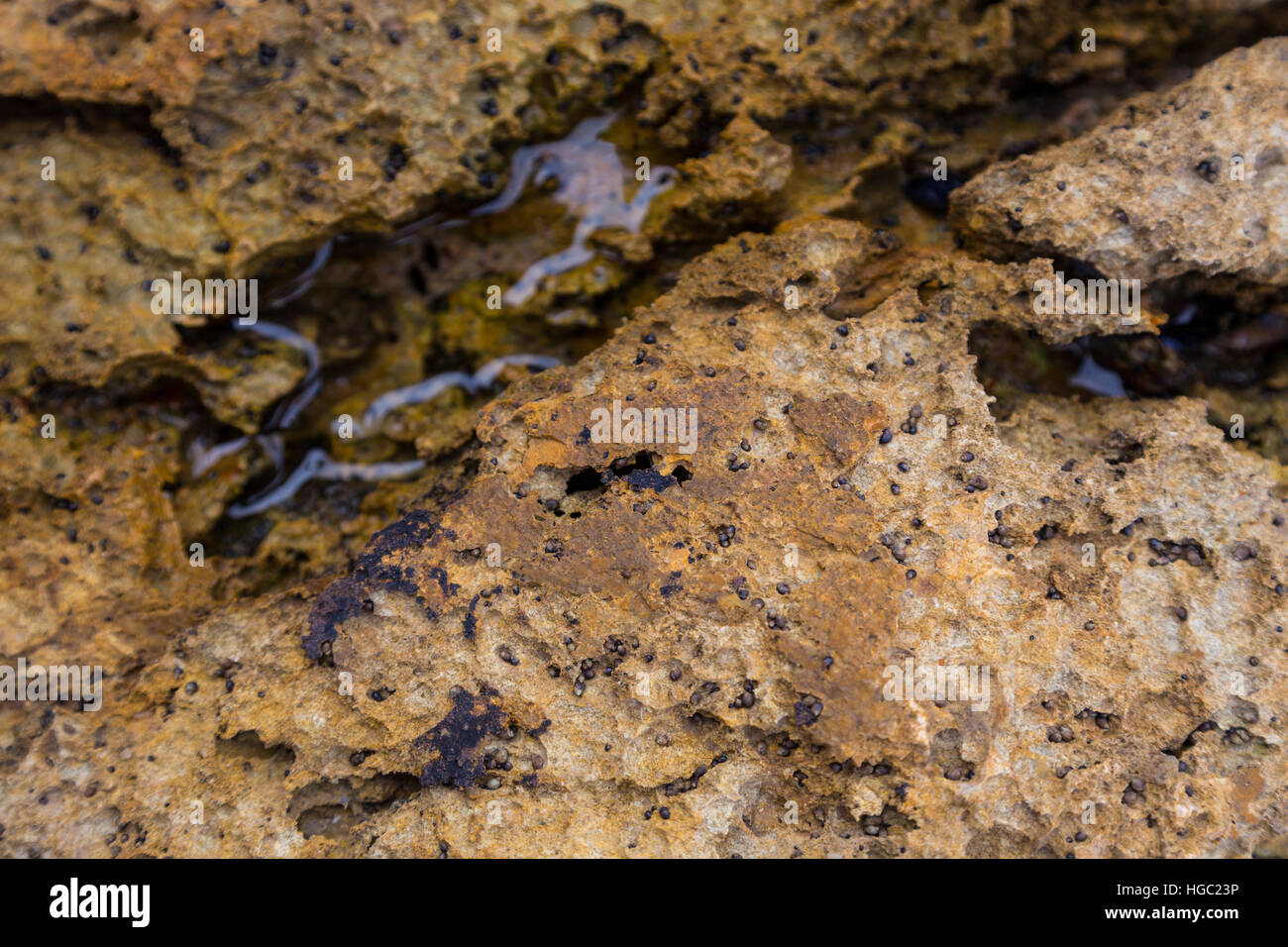 Puddle of water from above hi-res stock photography and images - Alamy