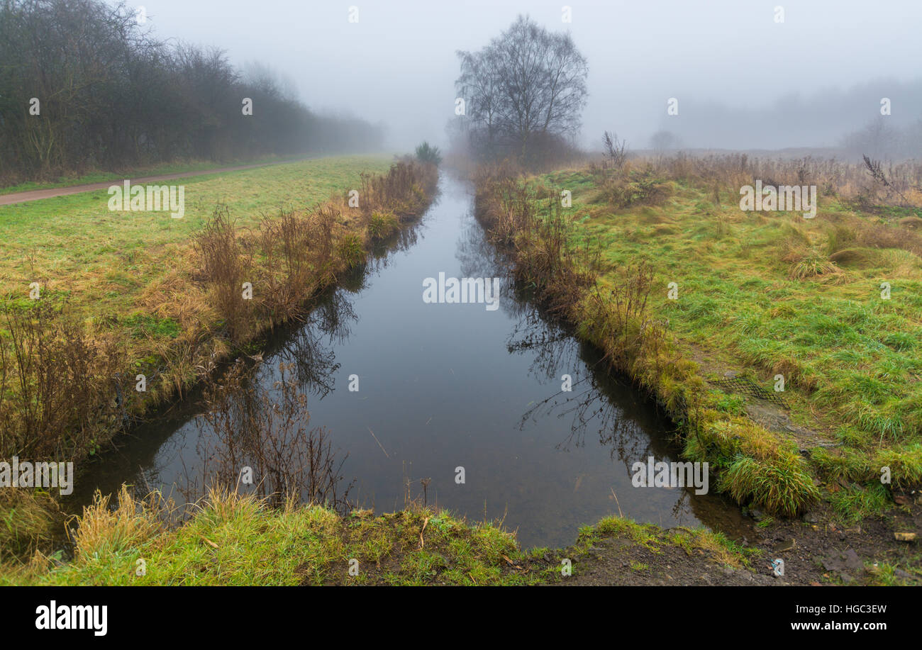 A view of Paddington Meadows in Warrington, Cheshire Stock Photo