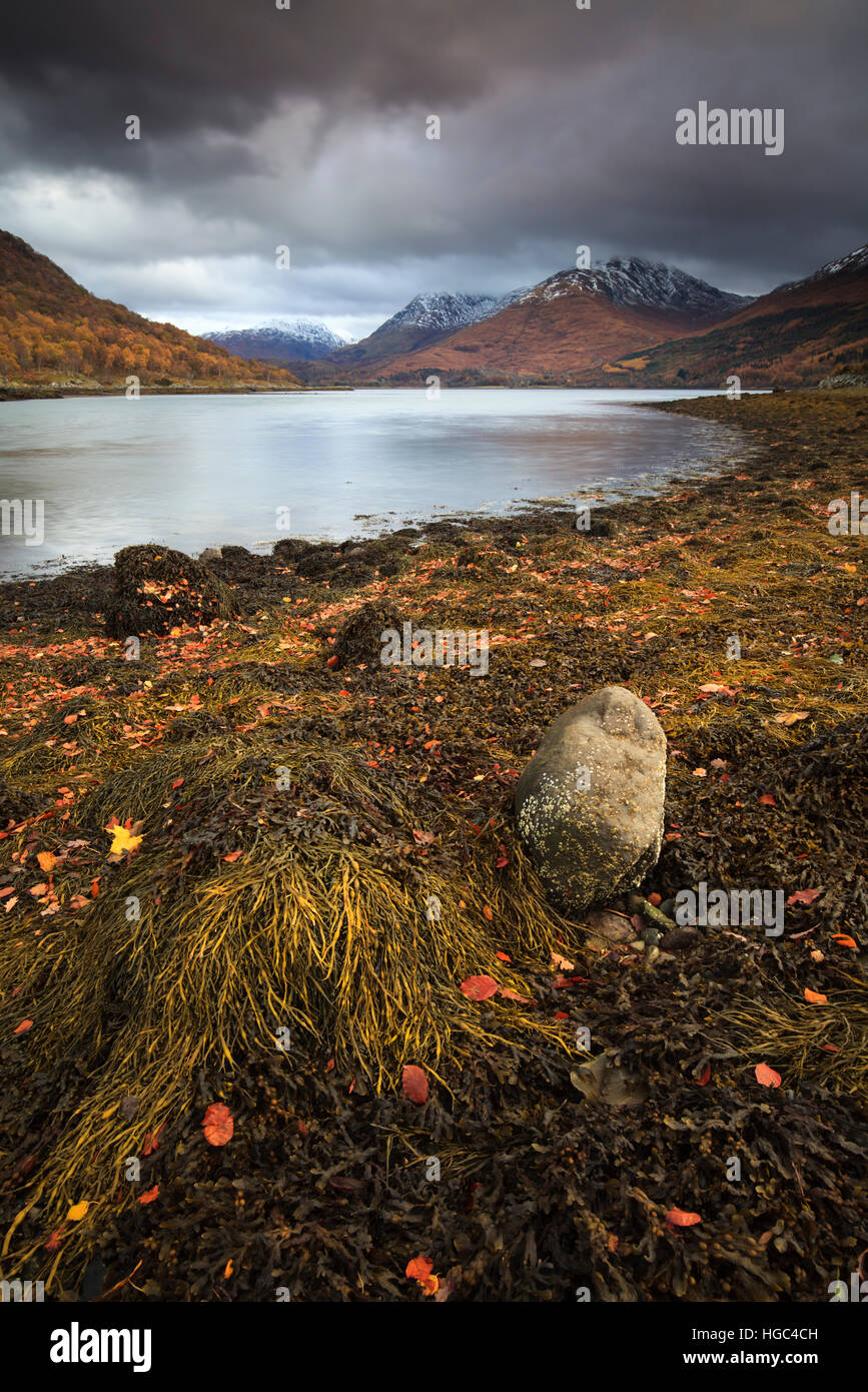 Loch Creran near Cregan in the Scottish Highlands. Stock Photo