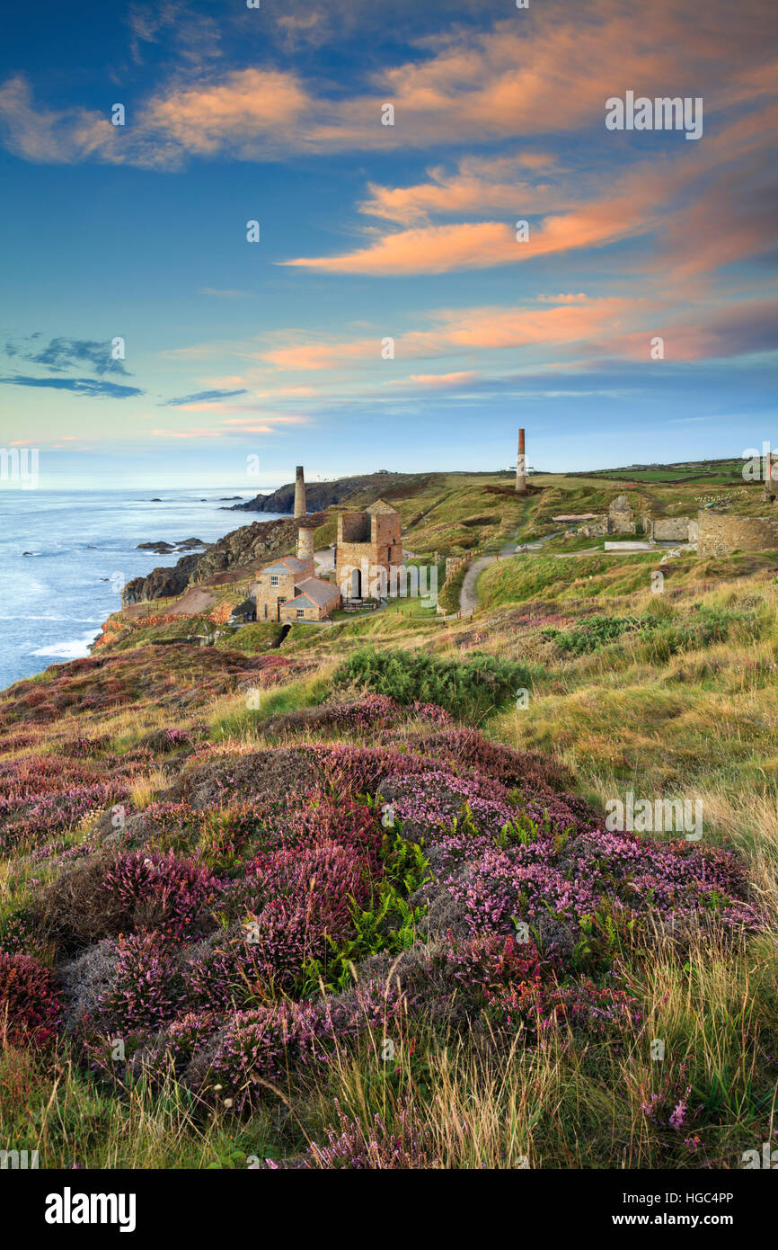 Levant Mine captured at sunset in August. Stock Photo