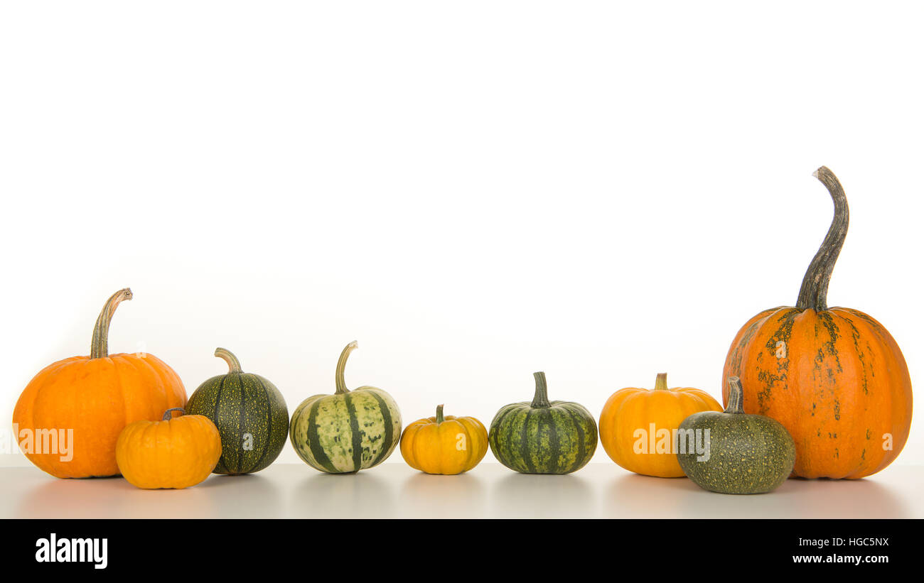 Pumpkins orange green white on hi-res stock photography and images - Alamy
