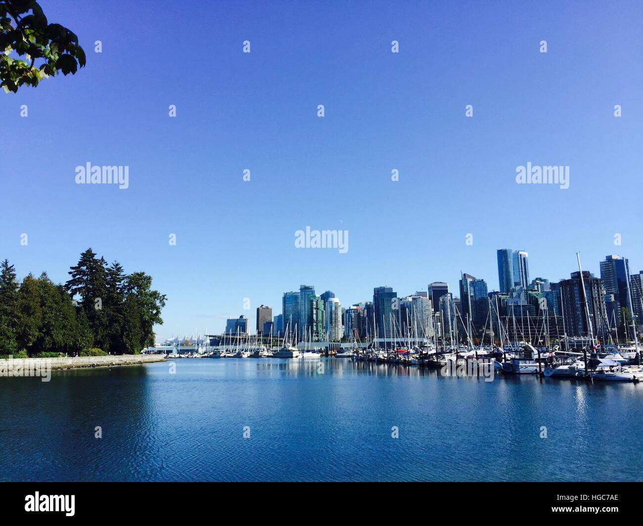 Vancouver: downtown skyline from Stanley Park Stock Photo - Alamy