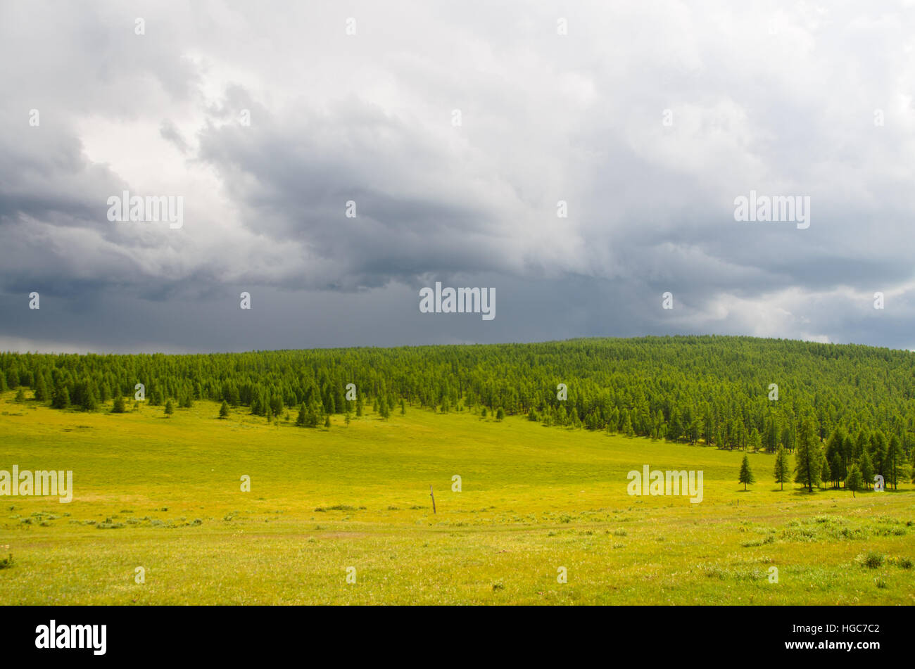 Transitional zone of Central Asian Steppe and Siberian Taiga in Khovsgol Province. Stock Photo