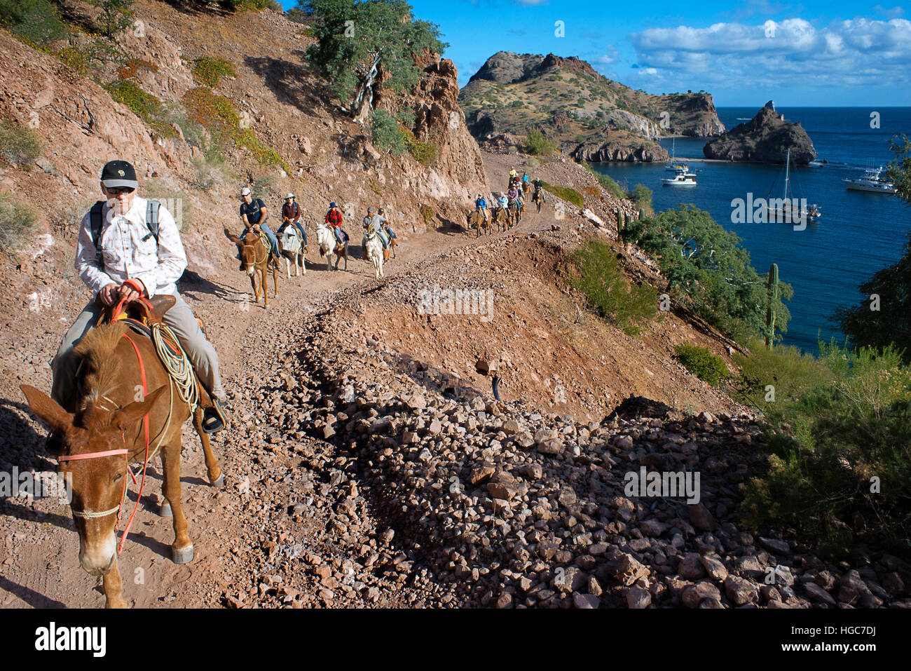 Horse ride in Agua Verde Bay, Sea of Cortes, Baja California Sur, Mexico. Stock Photo