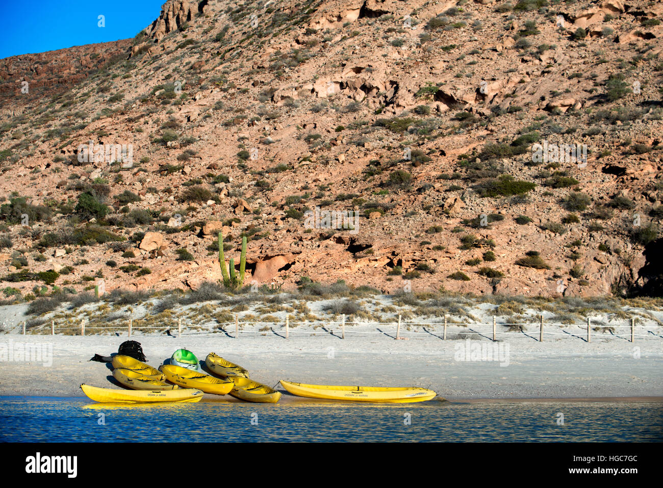Kayakking in the beach of Isla Espiritu Santo island, Sea of Cortez, Baja California, Mexico. Stock Photo