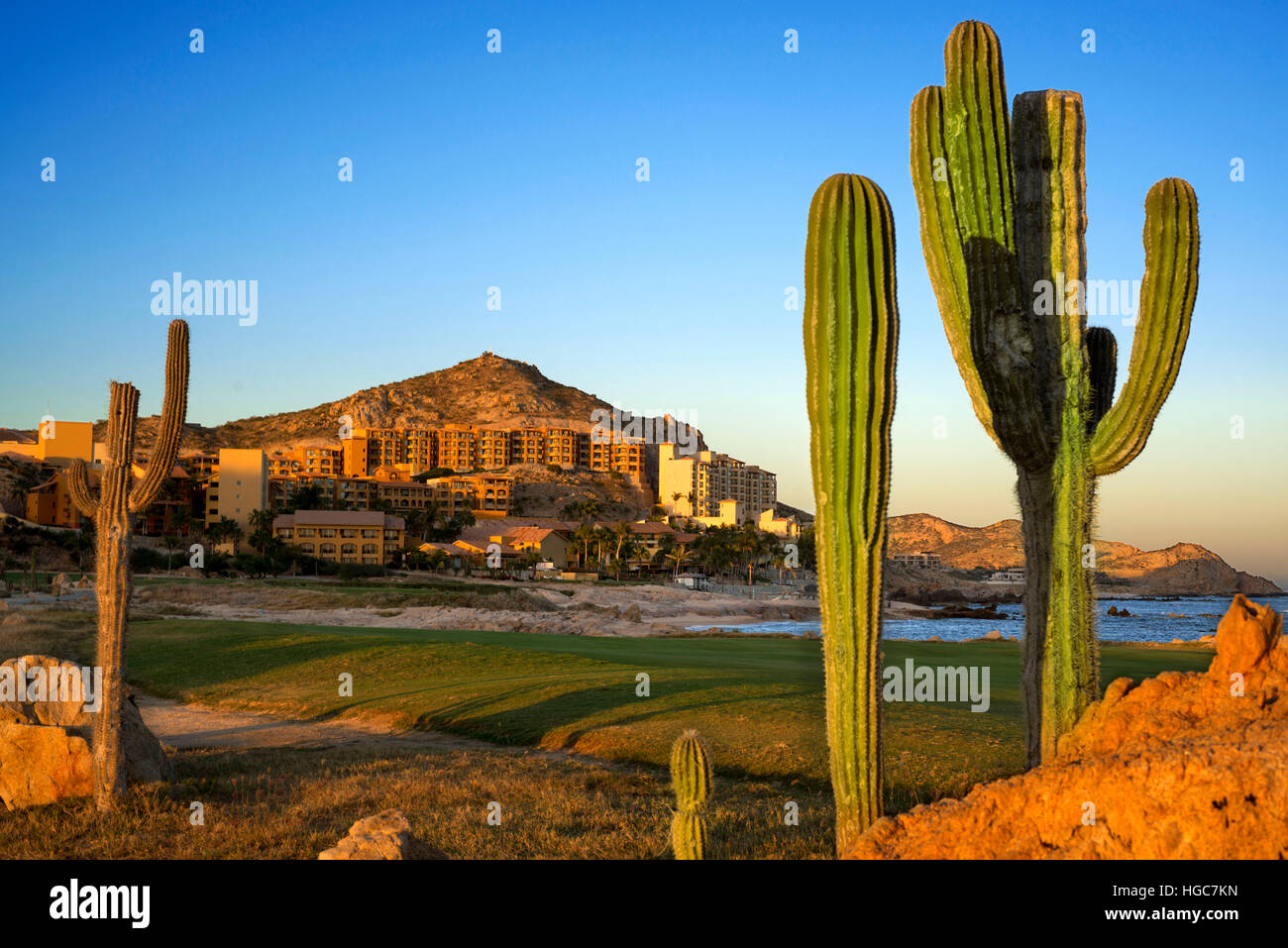 Landscape with cactus in front of Cabo del Sol Resort & Golf, Cabo San Lucas, Los Cabos, Sea of Cortez, Baja California, Mexico. Stock Photo