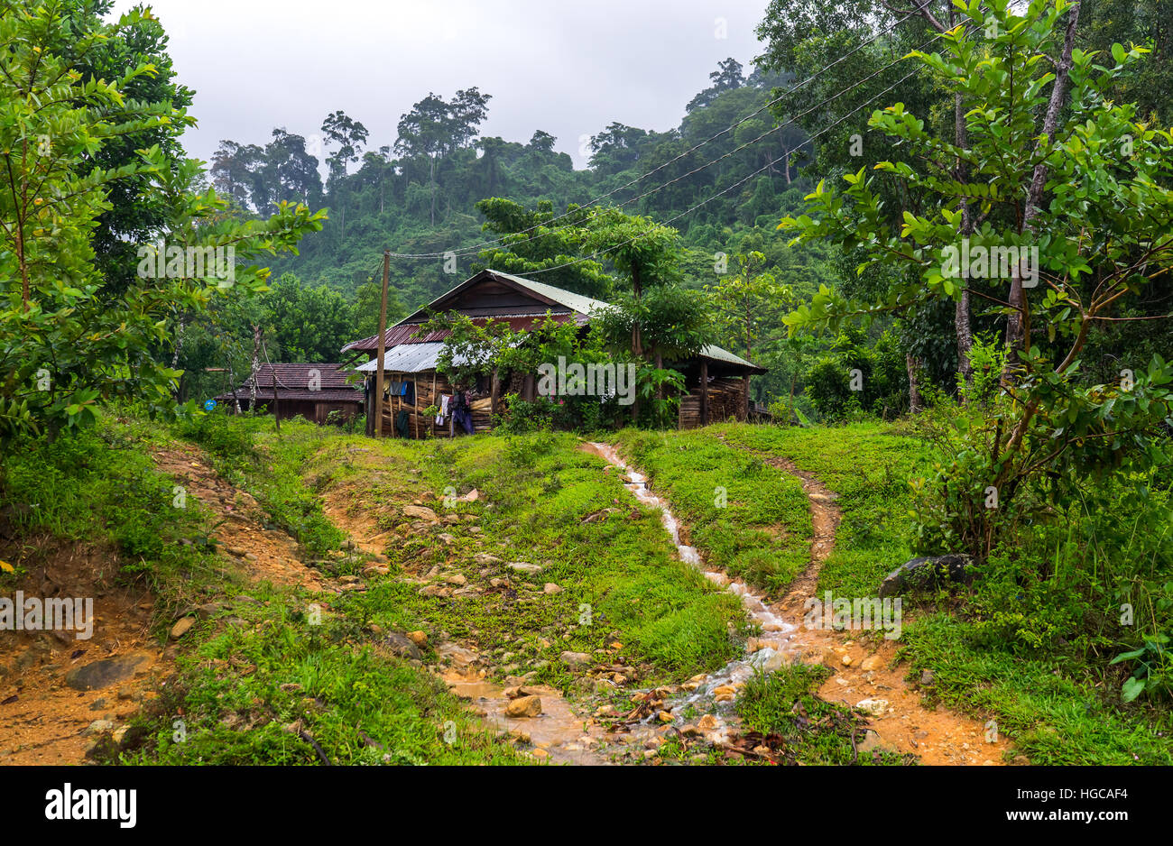 Farm hut in a remote Vietnamese village. Small rain streams flowing Stock Photo 130578760 Alamy