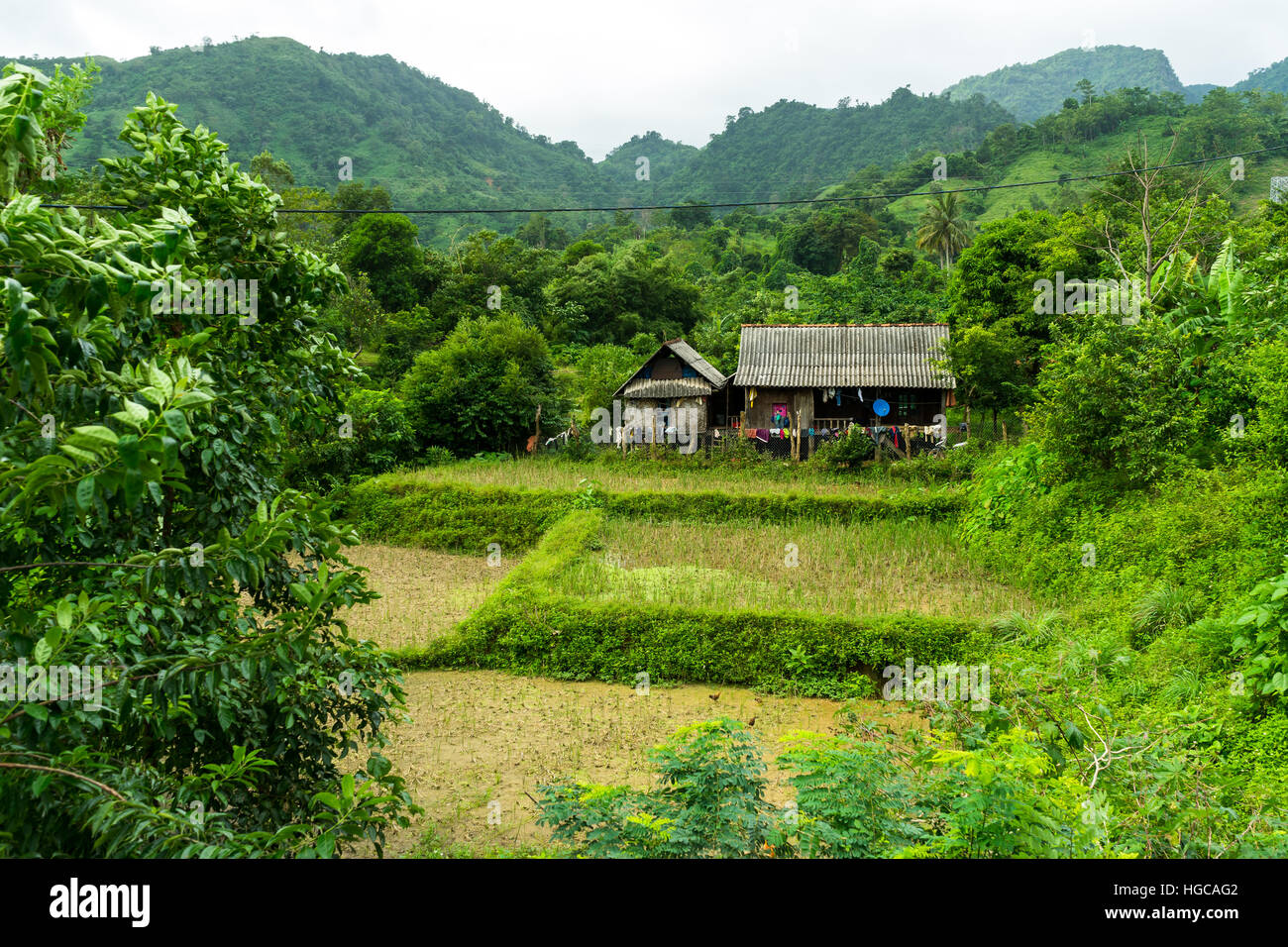 Vietnamese village hires stock photography and images Alamy