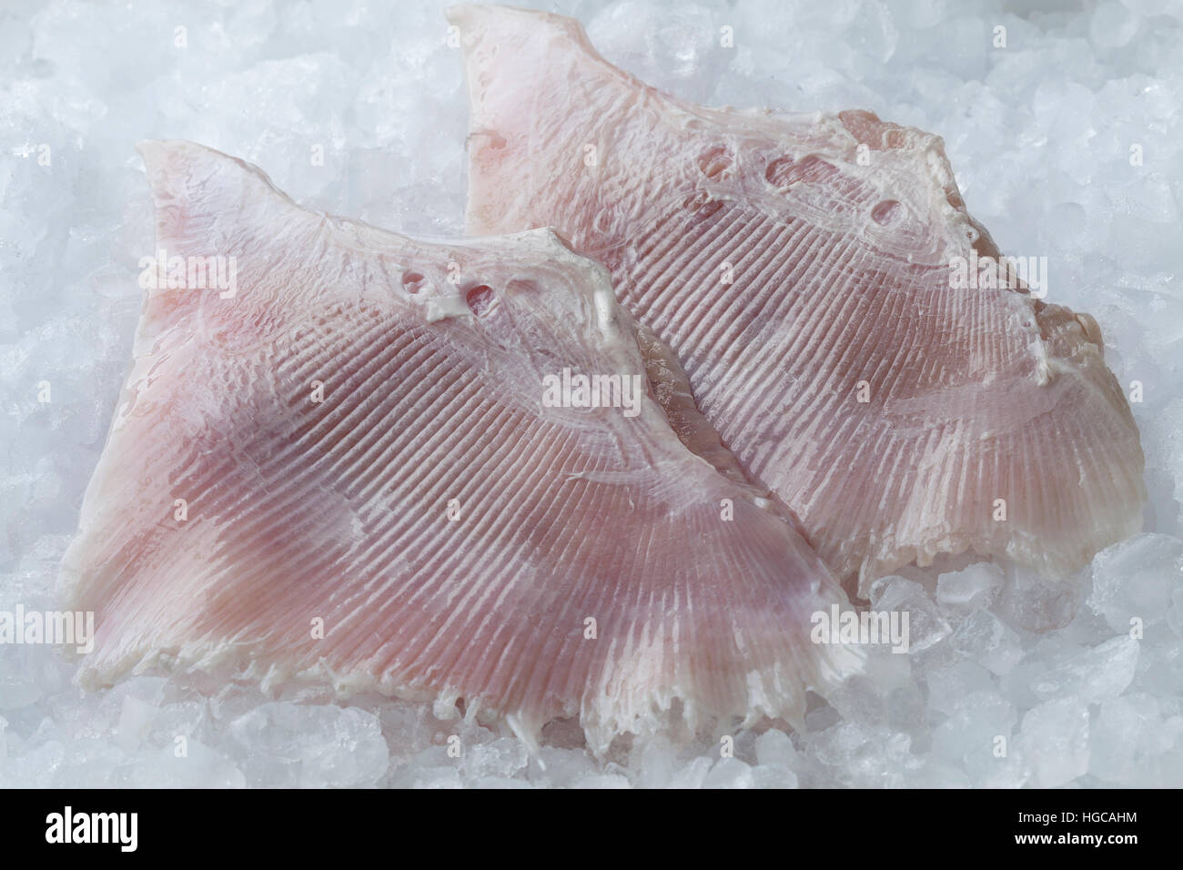 Fresh raw skate fish wings on ice Stock Photo
