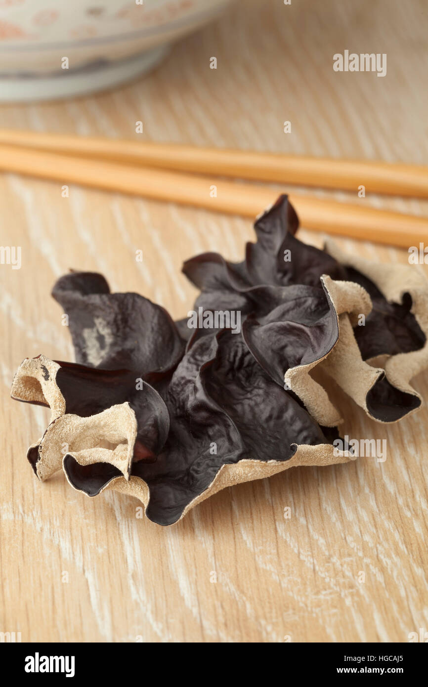 Single dried jews ear mushroom Stock Photo