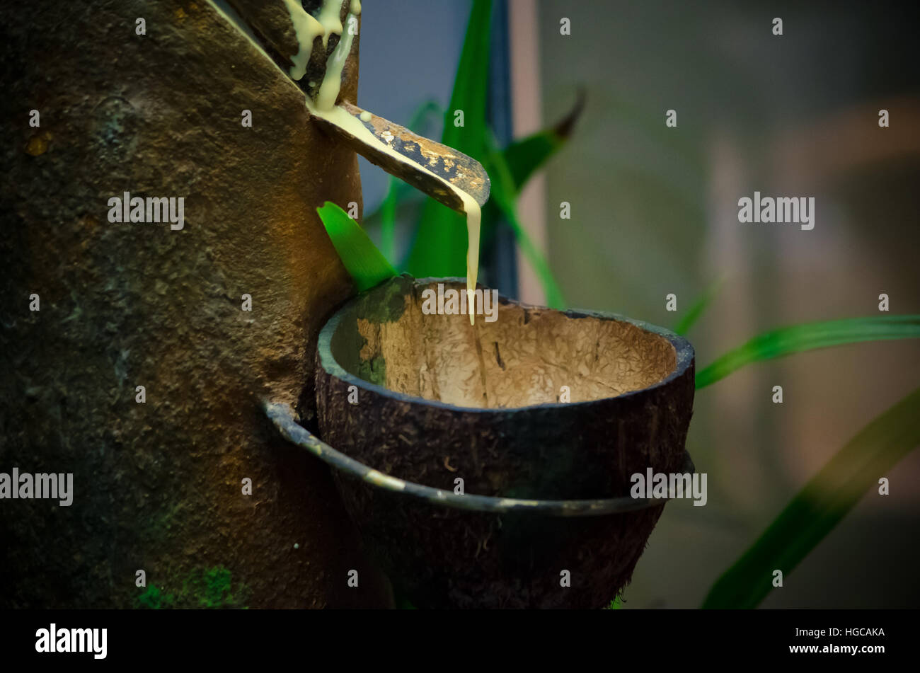 Exotic nature scenery Stock Photo Alamy