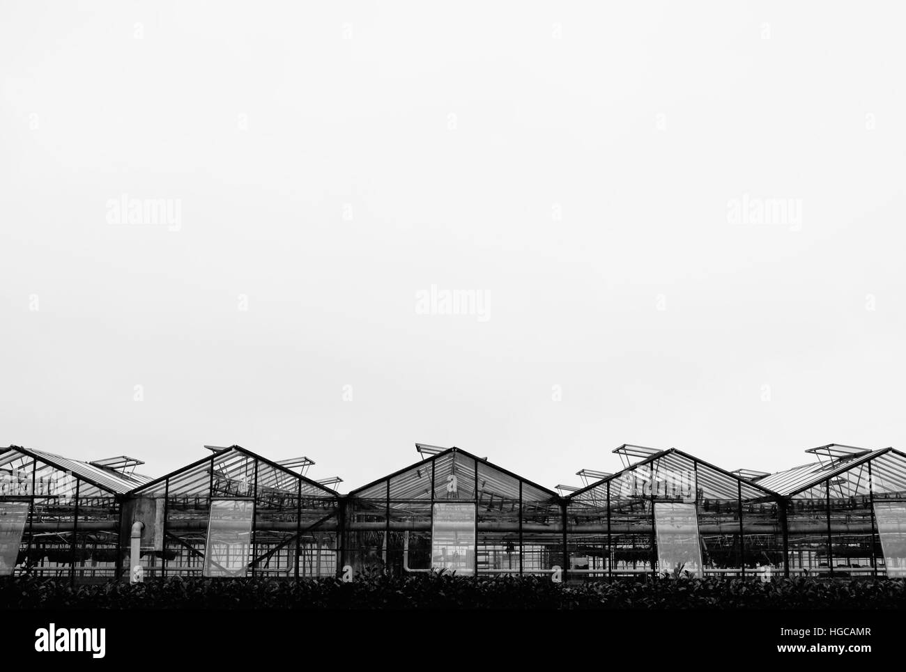 Greenhouse Black and White Stock Photos & Images Alamy