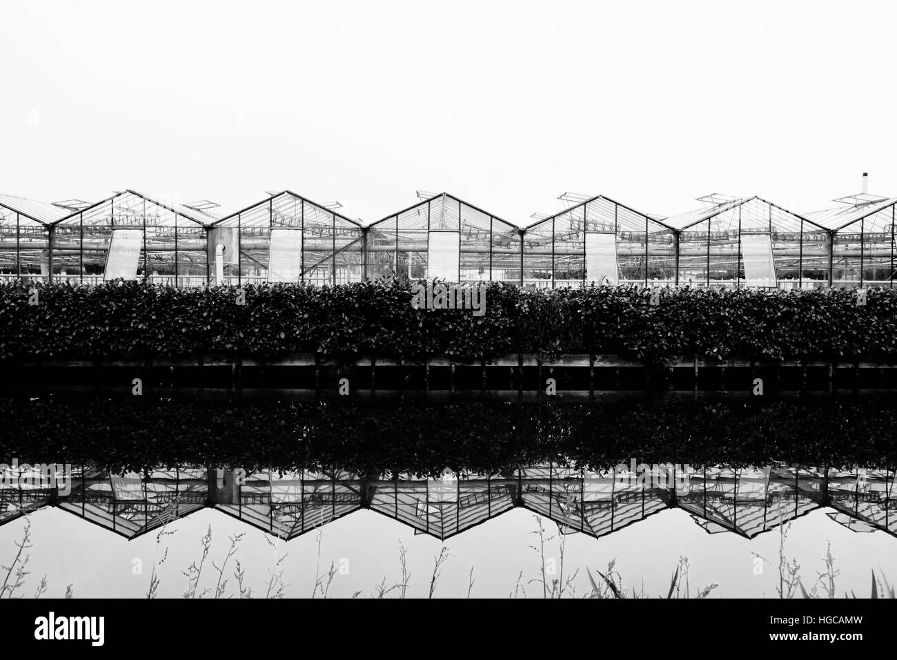 Greenhouse Black and White Stock Photos & Images Alamy
